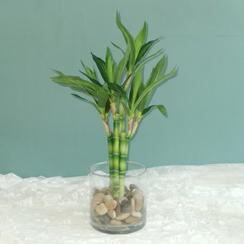 Desk Setup At Home - ใหม่ 40 ซม.rFtificial Lucky ไม้ไผ่ Succulent